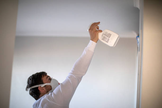 Best Crawl Space Mold Removal  in Bay, AR
