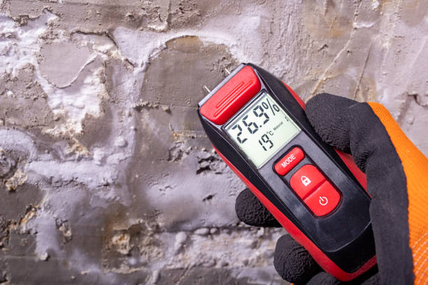 Trusted Bay, AR Mold Removal Experts